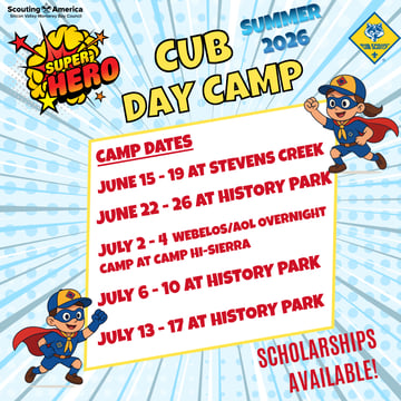 Cub Day Camp (1)