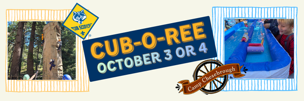 cuboree (1)