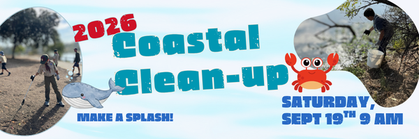 coastal clean up (2)